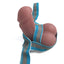 Multi-Color Packer Harness
