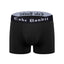 3d Front view of 6" Cake Bandit new logo black boxer briefs - White old english lettering on the black waistband that says Cake bandit, on white background.