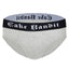 Gray Cake Bandit Packing  Briefs Trans Masc FTM underwear with a black 'Cake Bandit' waistband on a white background