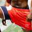 Cake Bandit Wrestling Season Shorts - Red