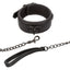 Buckle collar with D ring and swivel clasp